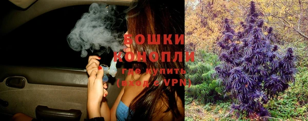 spice Осинники