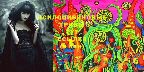 тгк Няндома