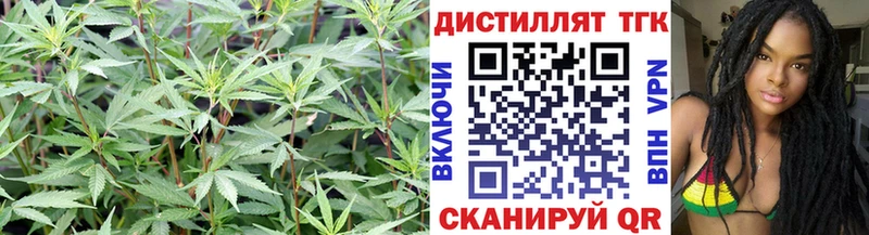 маркетплейс формула  ОМГ ОМГ зеркало  Коряжма  ТГК жижа 