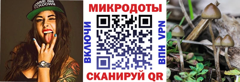 Псилоцибиновые грибы мицелий  Коряжма 