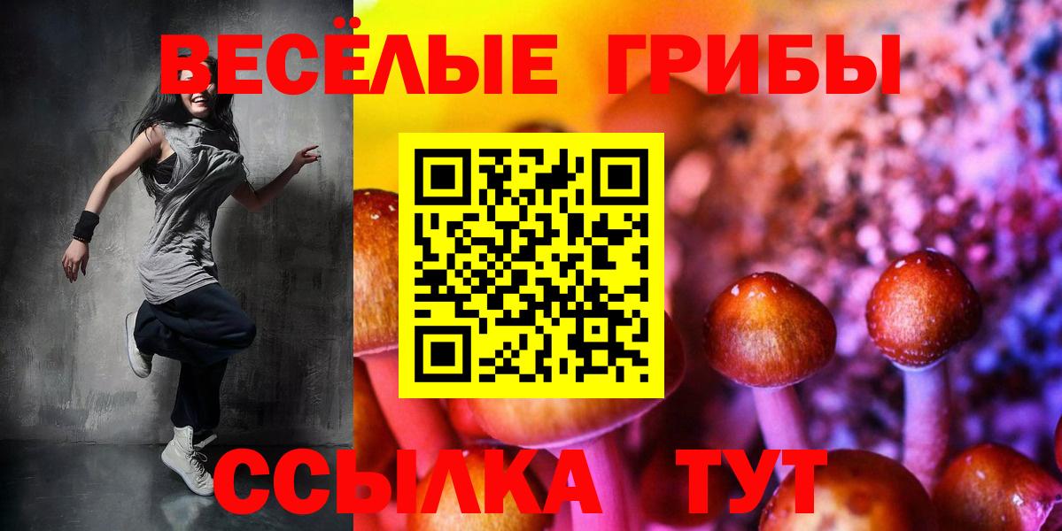 Псилоцибиновые грибы Cubensis  Галлюциногенные грибы Cubensis  Коряжма 